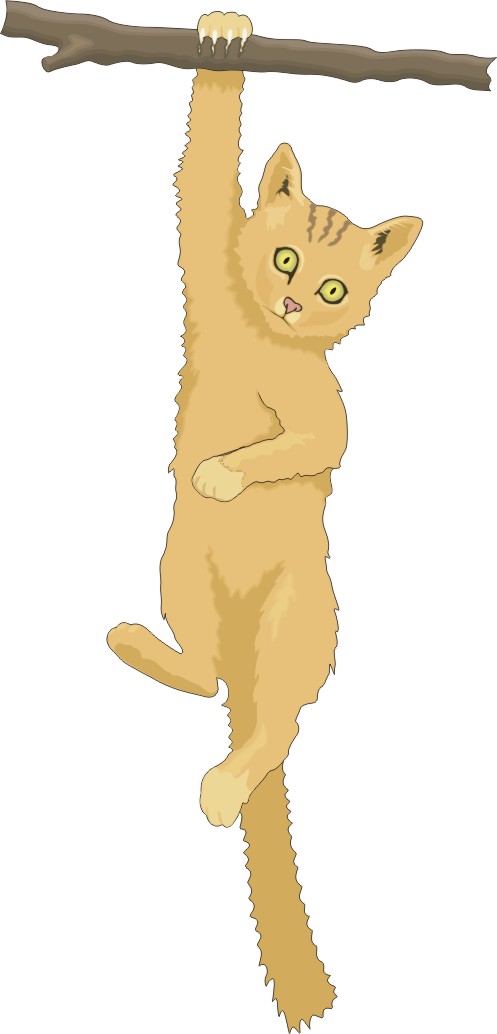 hang in there cat clipart - photo #25